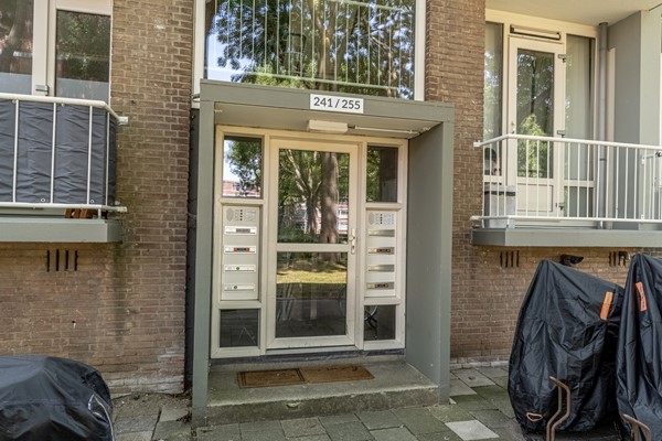 Medium property photo - Wilbertoord 253, 3079 JS Rotterdam